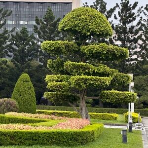 Meet your Posher, Jeet